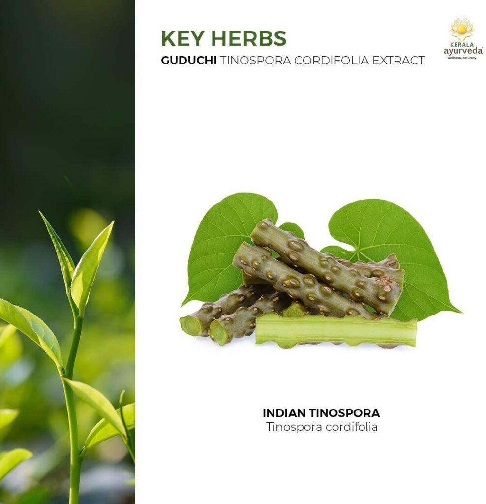 Kerla Ayurveda Guduchi, 60 Capsules