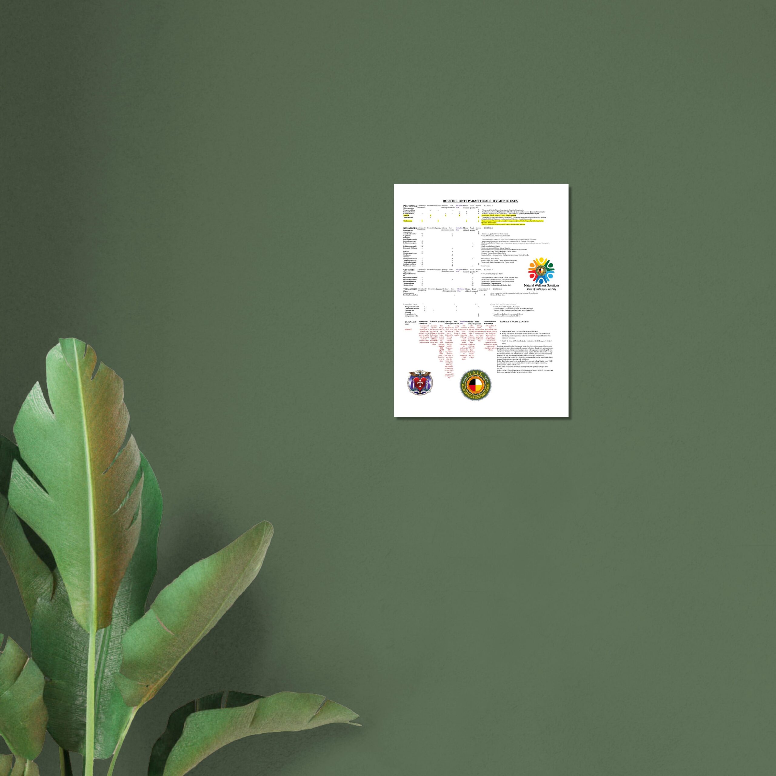 NWS Parasite protocol 1 Poster