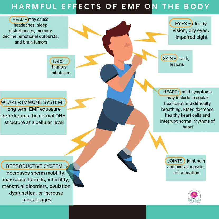 Harmful EMF on the Body